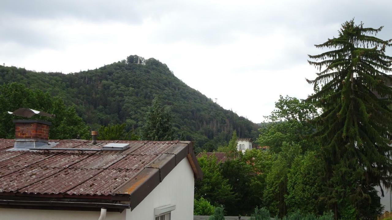 Ferienwohnung Loma Bad Harzburg Exterior foto